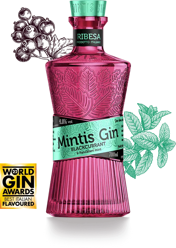 Mintis BLACKCURRANT Gin 41,8% Vol. 0,7l