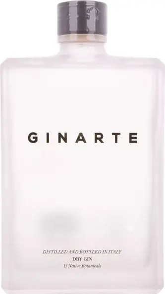 GINARTE Dry Gin Lou Thissen Design 43,5% Vol. 0,7l