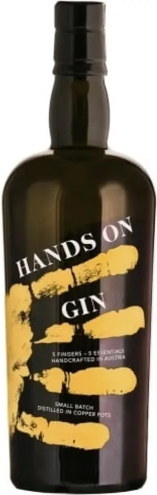 Ruotker's Hands on Gin Small Batch 46,5% Vol. 0,7l