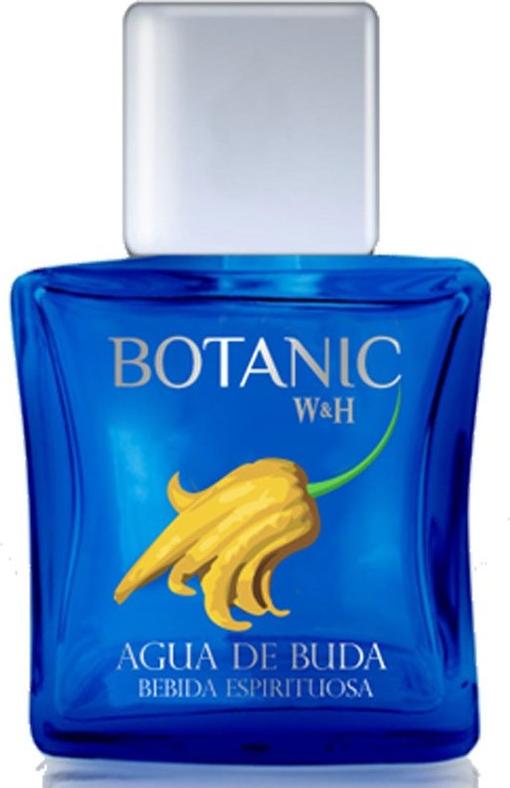 Cubical AGUA DE BUDA Gin SPRAY 49% Vol. 0,1l