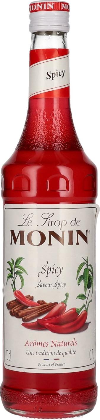 Le Sirop de MONIN SPICY 0,7l