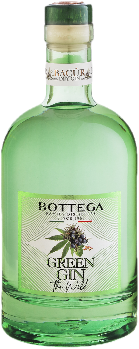 Bottega BACÛR The Wild Green Distilled Dry Gin 40% Vol. 0,7l