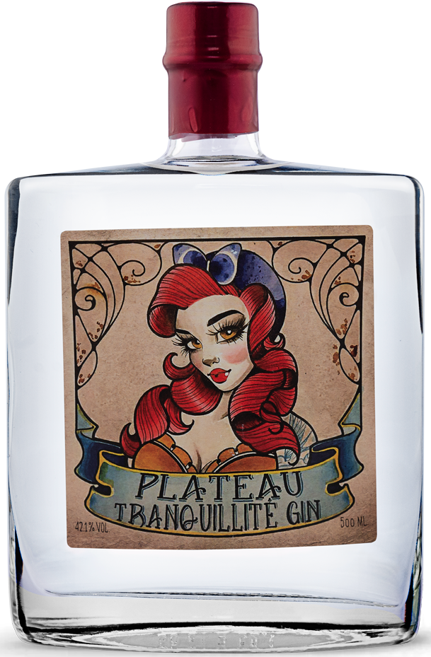 Plateau Tranquillité Gin 42.1% Vol. 0.5l