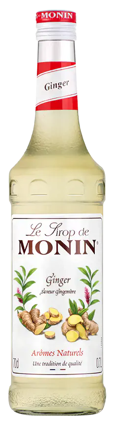 Le Sirop de MONIN GINGER 0,7l