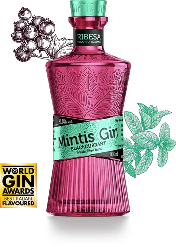 BLACKCURRANT Gin 41,8% Vol. 0,7l