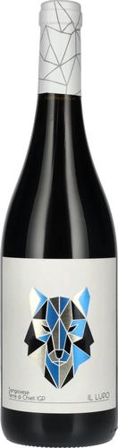 Sangiovese Terre die Chieti IGP 2022 13% Vol. 0,75l