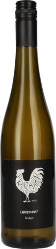 Chardonnay 2025 13% Vol. 0,75l