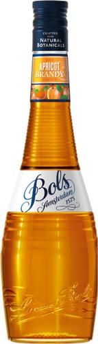 Apricot Brandy Liqueur 24% Vol. 0,7l