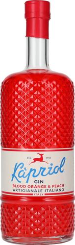 BLOOD ORANGE & PEACH Gin 40,7% Vol. 0,7l