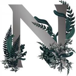 Nc'nean