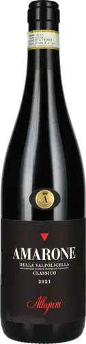 Amarone Della Valpolicella Classico DOC 16% Vol. 0,75l