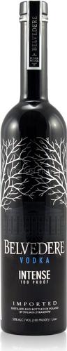 Vodka INTENSE 50% Vol. 1l