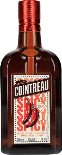 Spicy Special Edition 30% Vol. 0,7l