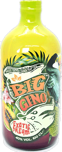 Gin EXOTIC DREAM 40% Vol. 1l