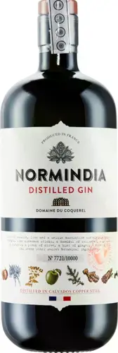 Gin Distillé 41,4% Vol. 0,7l